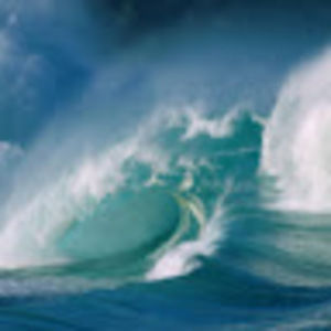 Meet your Posher, Jayden